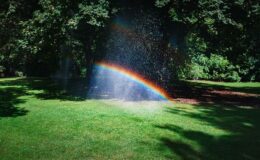 A professzionális automata öntözőrendszer telepítés előnyei